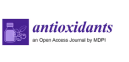 logo_4